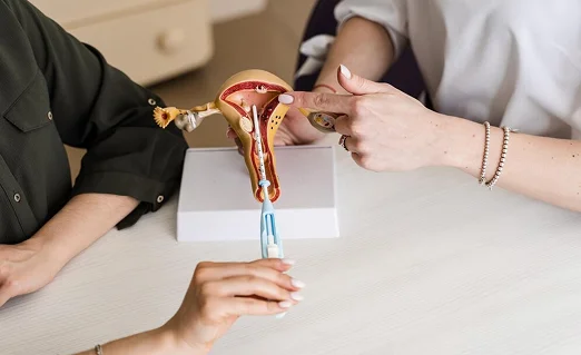 Intrauterine Insemination (IUI)