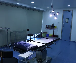 Gallery 32